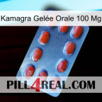 Kamagra Gelée Orale 100 Mg 06